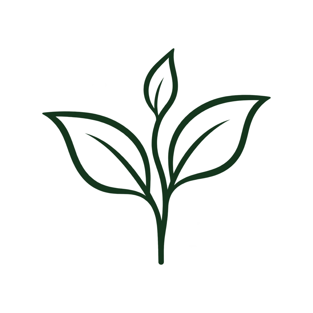 Naturally renewable bamboo icon